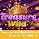 【9月19日まで】ビットカジノのTreasure Wildで賞金5,000円！